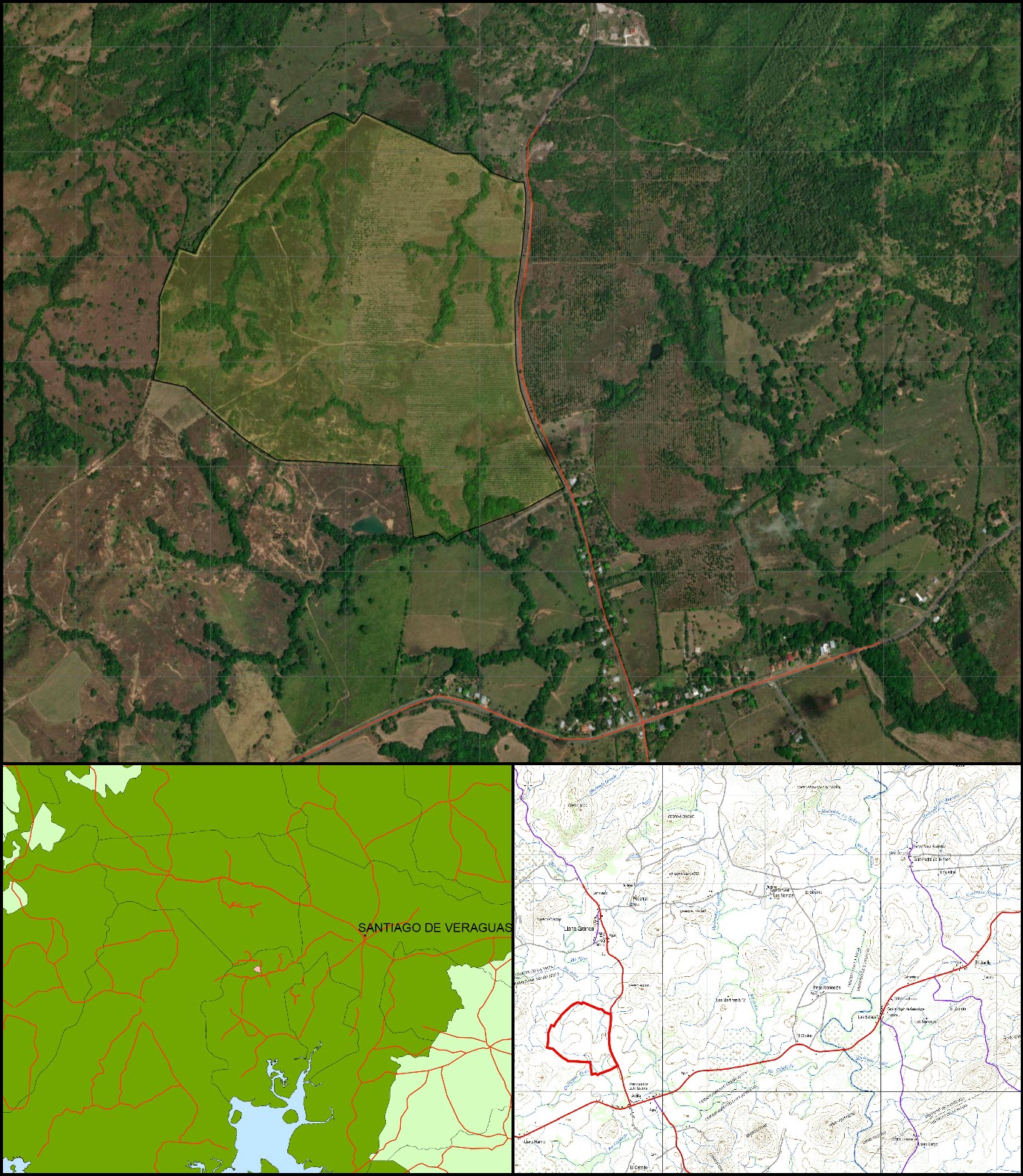 Imagen 6 – composición vertical de Aclita I